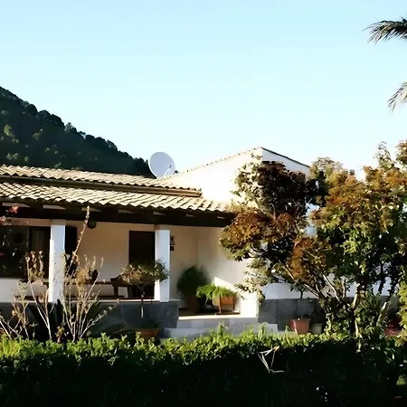 Camp De L'alzina * Pollença