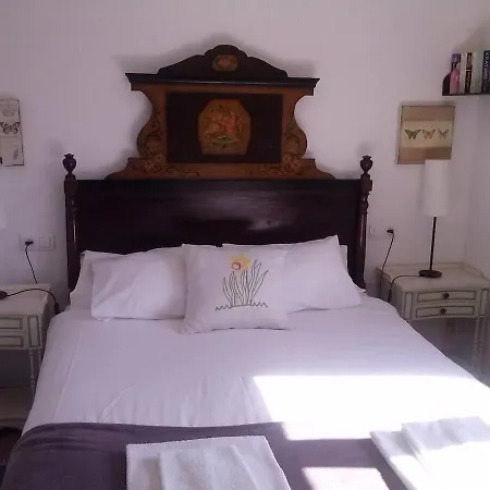 Camp De L'alzina Pollensa