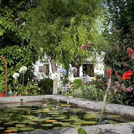 Camp De L'alzina Villa Pollença