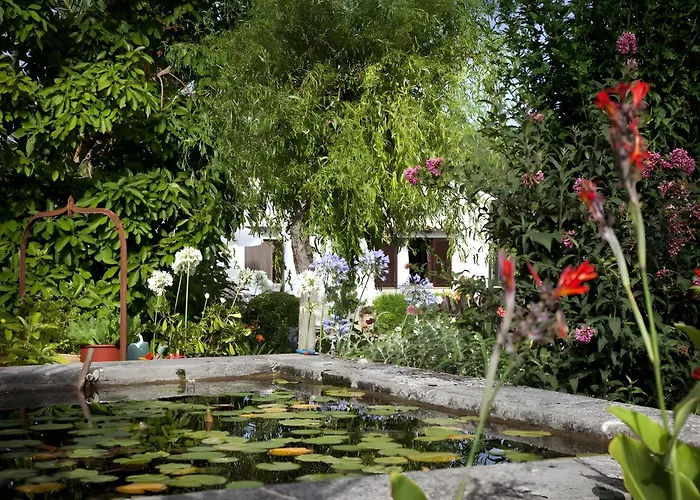 Camp De L'alzina * Pollença