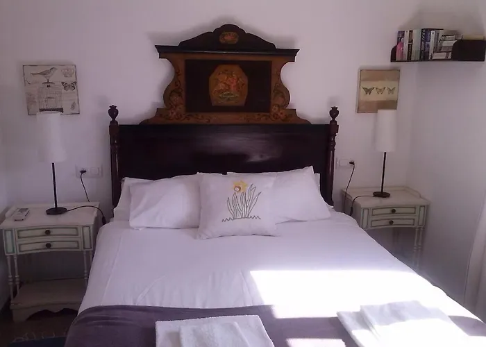 Camp De L'alzina Pollença