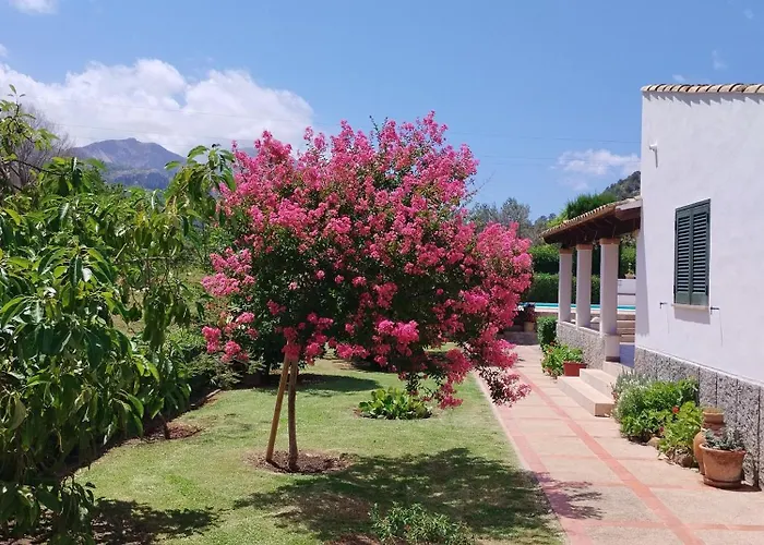 Villa Camp De L'alzina *