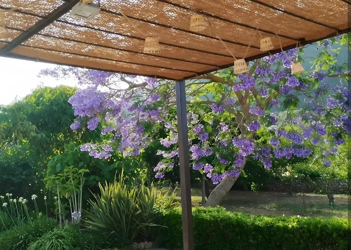 Camp De L'alzina * Pollença