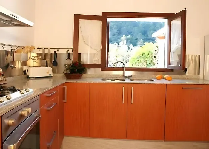 Camp De L'alzina * Pollença