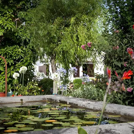 Camp De L'alzina * ポレンサ