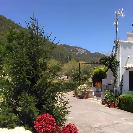 Camp De L'alzina Pollença