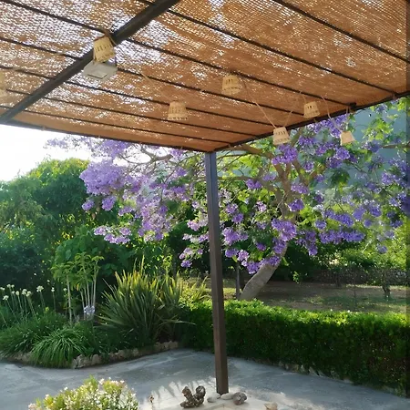 Camp De L'alzina Βίλα Pollença