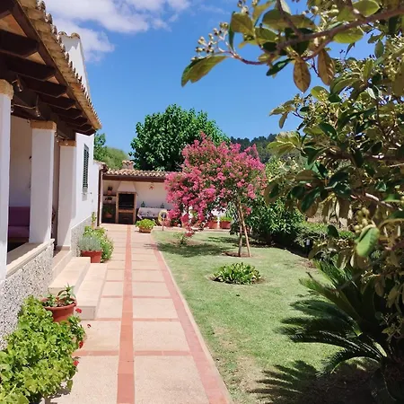 Camp De L'alzina Pollença