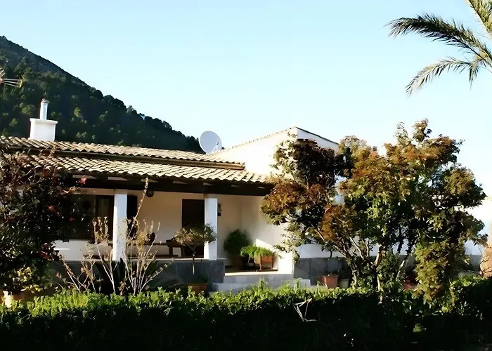 Camp De L'alzina * Pollenca